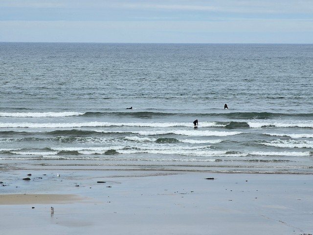 Surfer getting upright on a wave in front of the shop